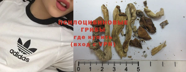 тгк Переславль-Залесский